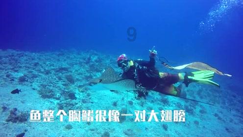 旺旺查号：淘宝搜索引擎揭秘 工作原理与步骤详解